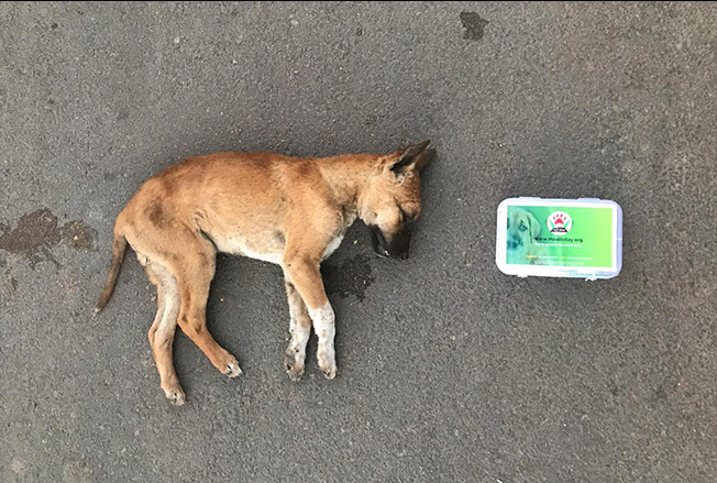 Kit Used By Mr. Swapnil Parkhya