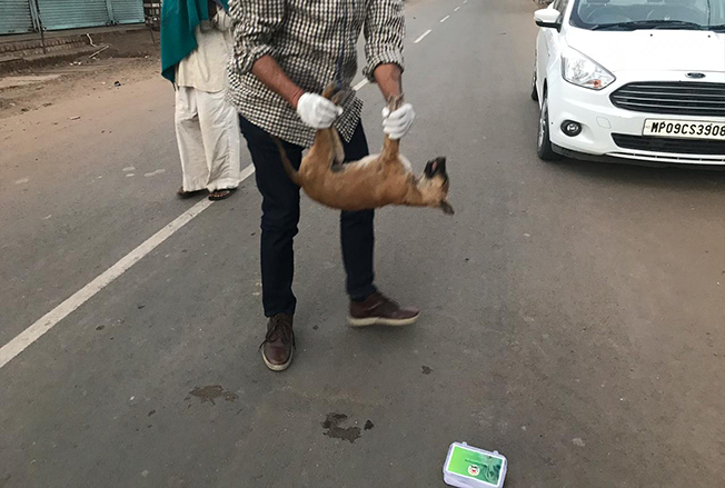 Kit Used By Mr. Swapnil Parkhya