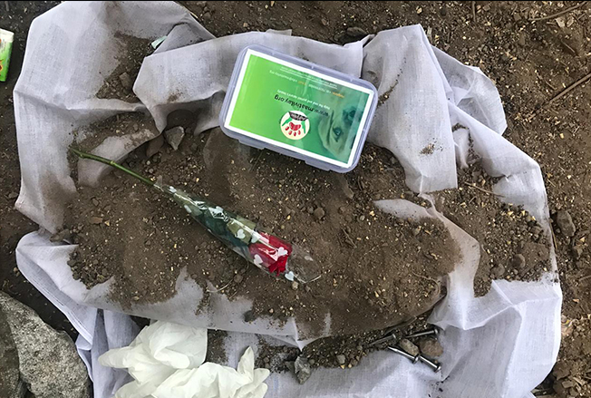 Kit Used By Mr. Swapnil Parkhya